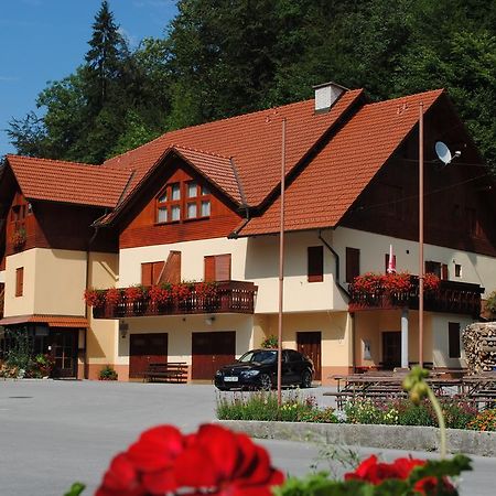 Pri Vidrgarju Hotel Vace Kültér fotó